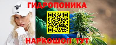 соль ск Тара