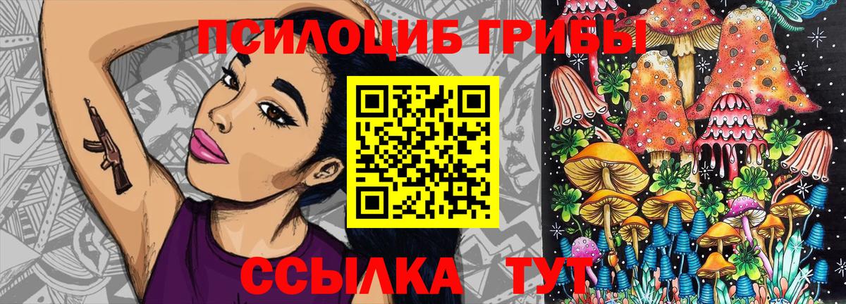 Богородск  где купить наркоту  Псилоцибиновые грибы GOLDEN TEACHER  Вход с VPN  Галлюциногенные грибы Cubensis 